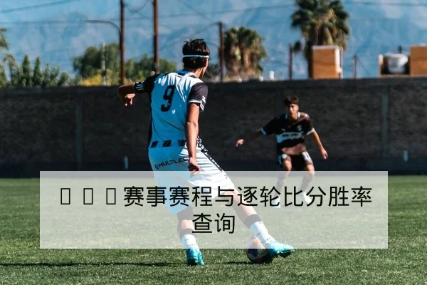 世界杯历史交锋数据与主客场胜率查询