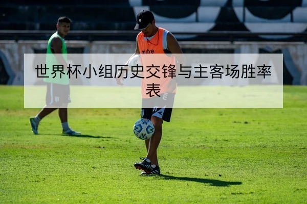 世界杯历史交锋数据与主客场胜率查询